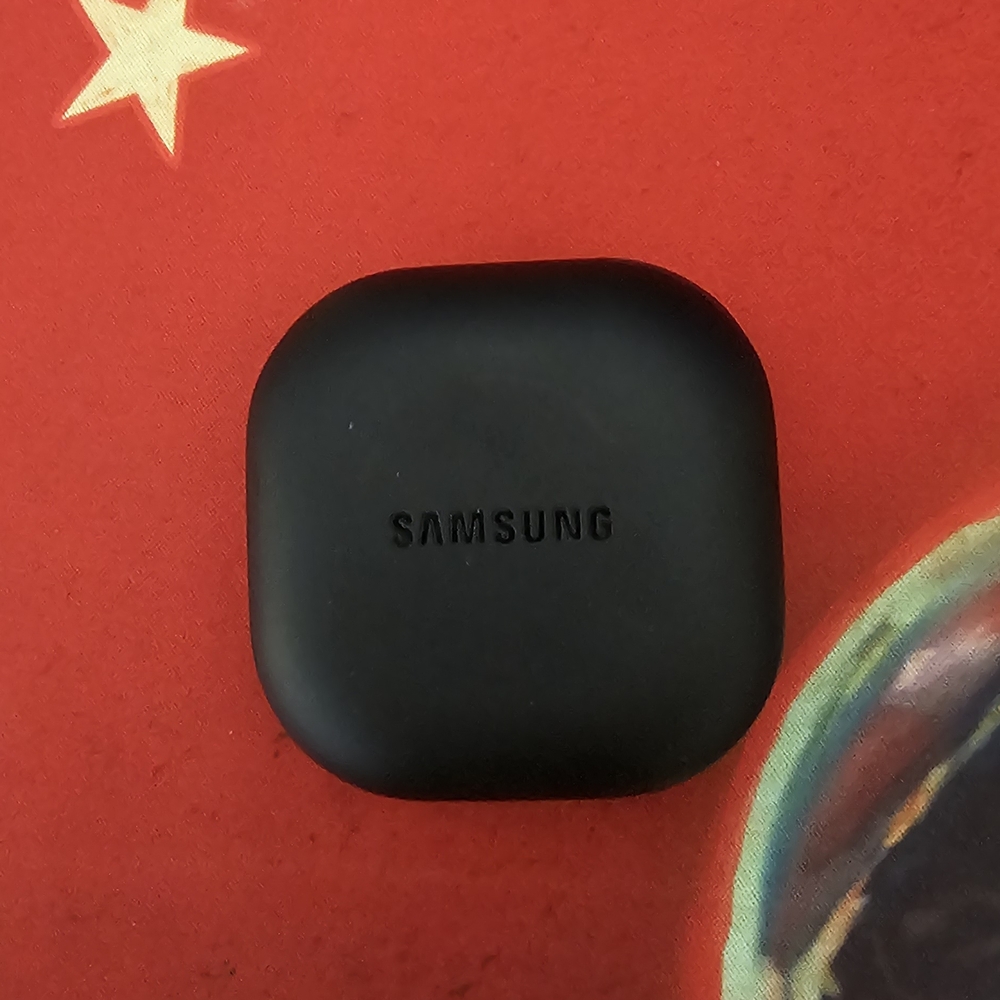 Samsung Matte Black Earbuds Case